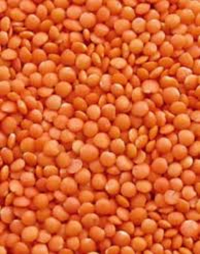 மைசூர் பருப்பு